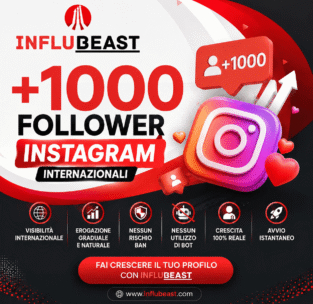 rappresentazione pacchetto 1000 follower instagram reali con i vantaggi.